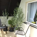 Zielone Tarasy Na Kaszubach