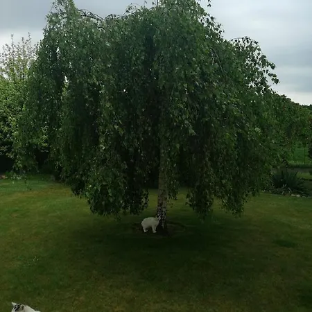 Проживание в семье Zielone Tarasy Na Kaszubach *