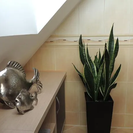 Privat bolig Zielone Tarasy Na Kaszubach