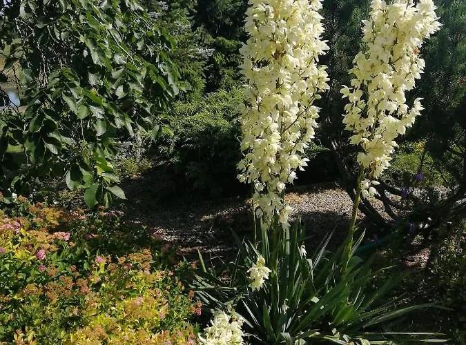 Zielone Tarasy Na Kaszubach *