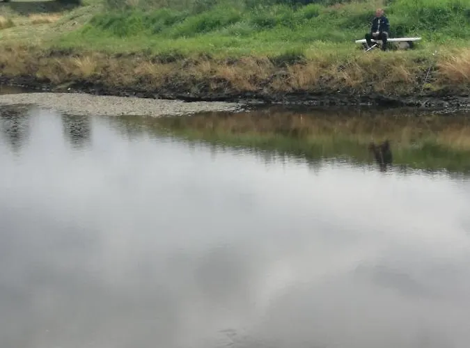 Zielone Tarasy Na Kaszubach Privat bolig Sikorzyno