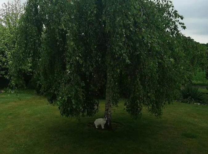 民宿 Zielone Tarasy Na Kaszubach *