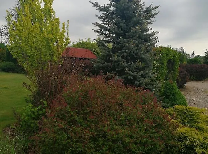 Privat bolig Zielone Tarasy Na Kaszubach Sikorzyno