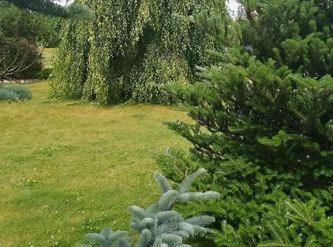 ホームステイ Zielone Tarasy Na Kaszubach *