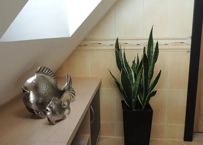 民宿 Zielone Tarasy Na Kaszubach